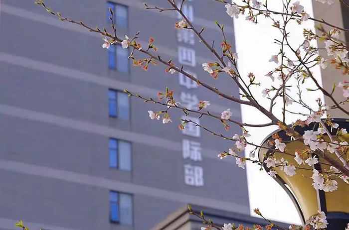 3 杭四中國際部好考嗎？錄取分?jǐn)?shù)線多少？1.jpg