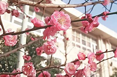 國際高中和普通高中之間有什么不同