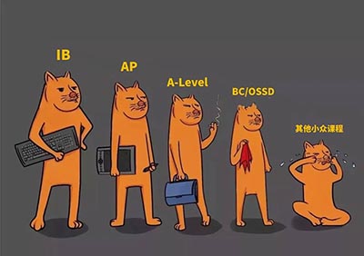 IB/AP/A-Level/OSSD四大國際課程對比