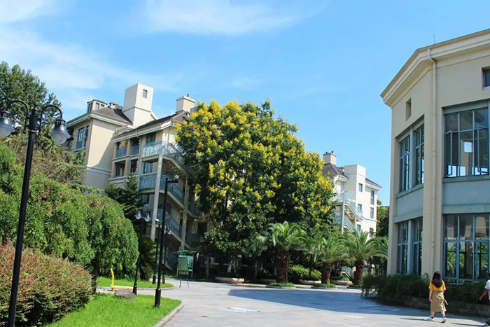8 綠城教育常春藤國際高中學(xué)校簡介15.jpg
