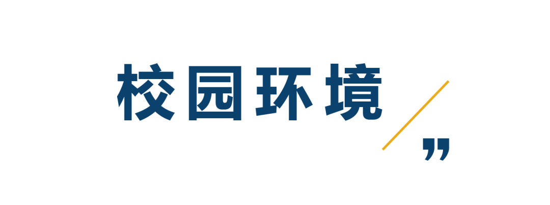 7 上海星河灣雙語學(xué)校簡介_課程_招生學(xué)費(fèi)6.png