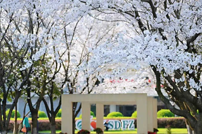 杭師大附中國際部2023年校園開放日及入學模考