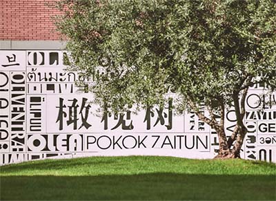 杭州橄欖樹學校怎么樣？2枚牛劍預錄取offer！