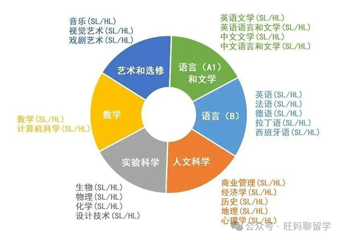 三大主流國際課程體系A(chǔ)P、ALevel、IB哪個補課多