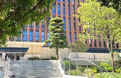 貝賽思在國內開設校區的城市有哪些？